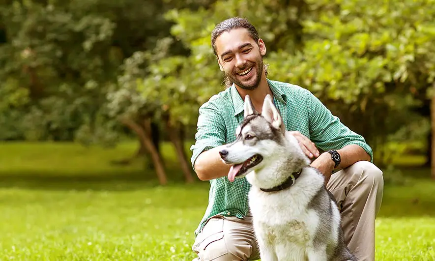 Dog Trainer Insurance