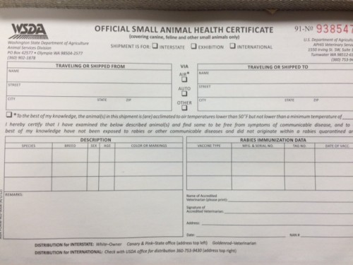 International Health Certificate for Cats