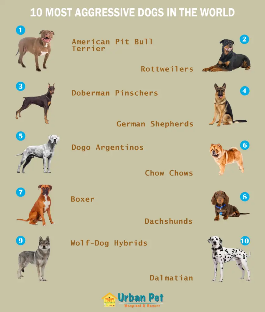 Genetically Aggressive Dog Breeds