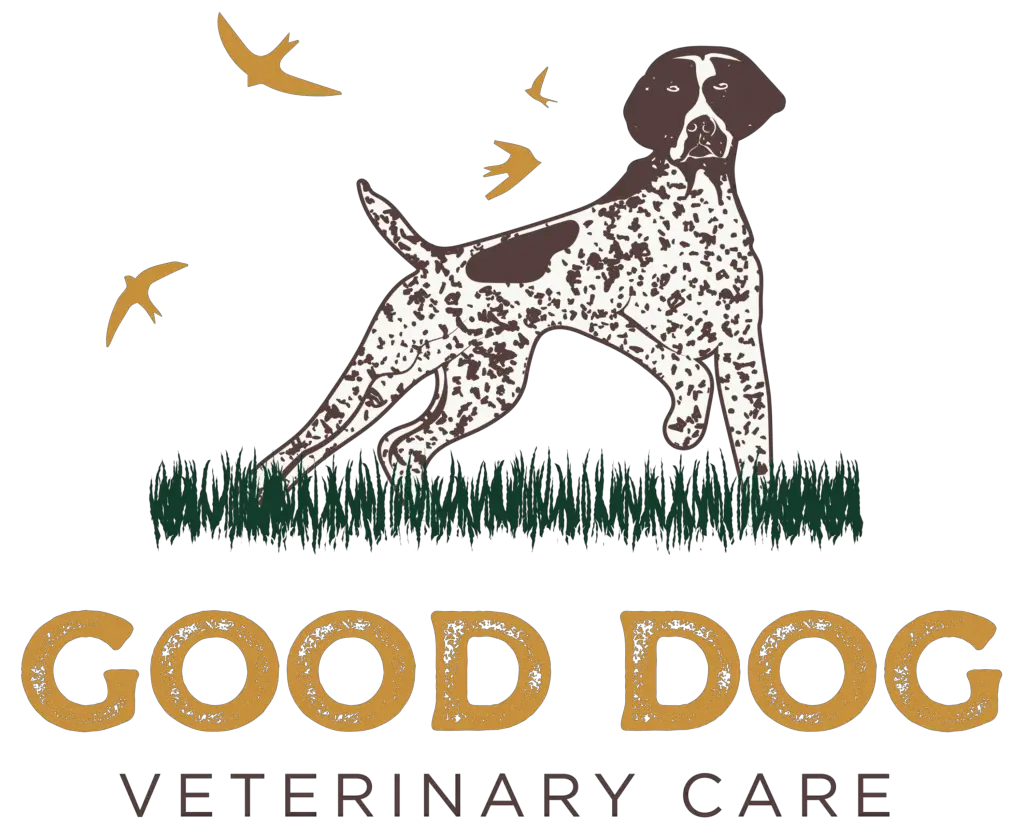 Good Dog Veterinary Care Smyrna