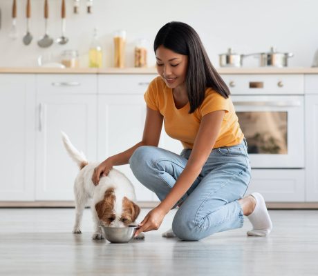 loving-korean-lady-petting-her-dog-while-feeding-i-2022-12-16-07-47-17-utc.jpg